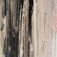 Neutral Modern Art Striped Shower Curtain