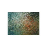 Modern Distressed Area Rug