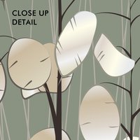 Money Plant close up artwork