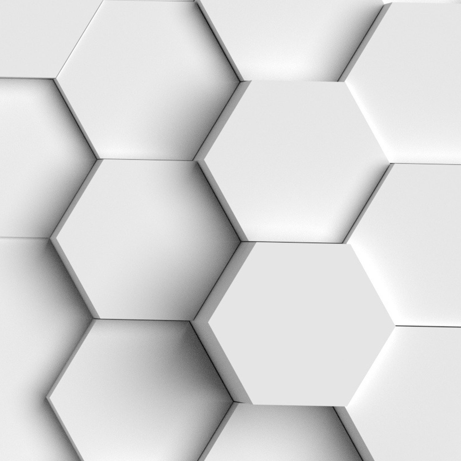 Monochromatic Geometric 3D Shower Curtain detail