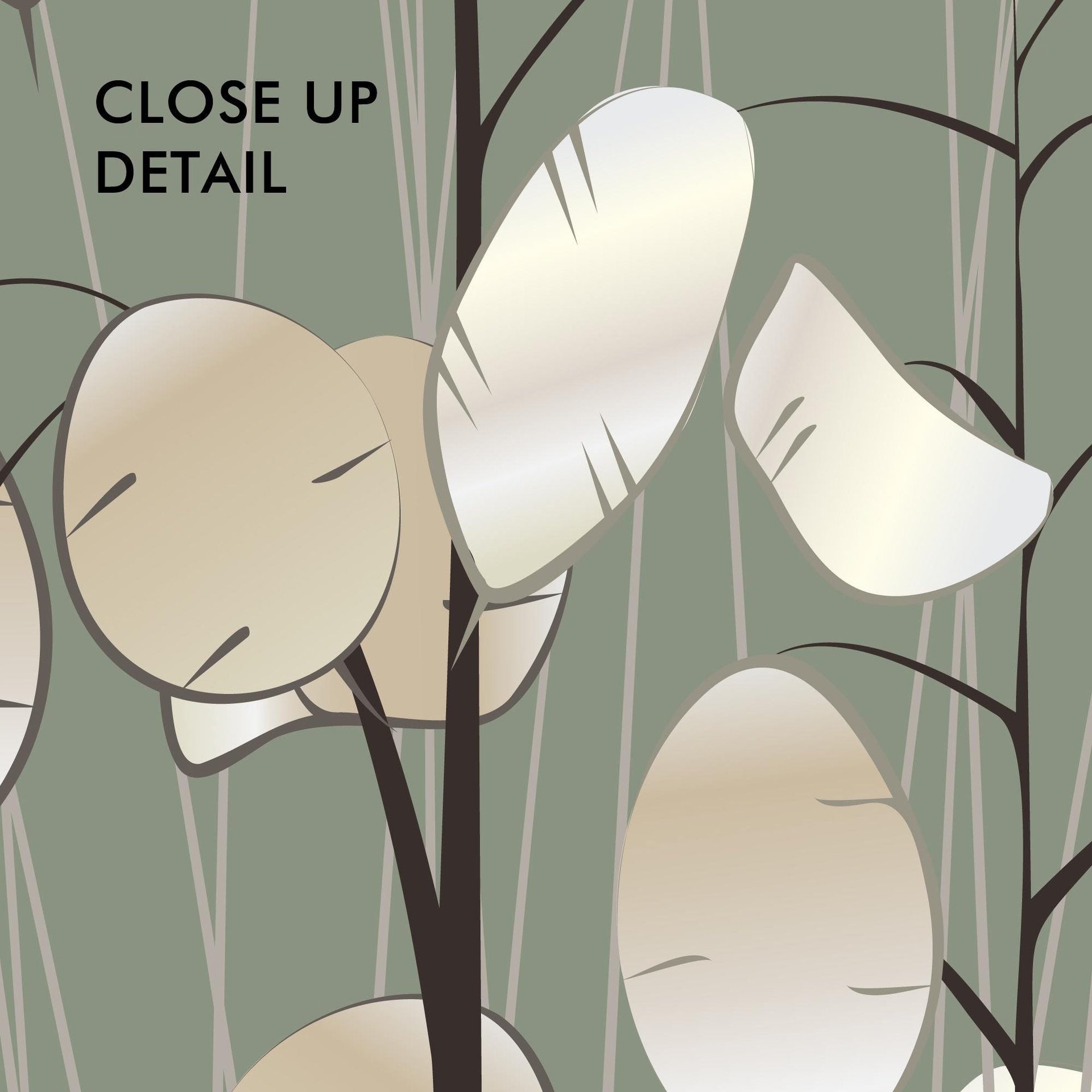 Money Plant close up artwork